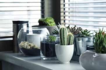 pots-716579_1920